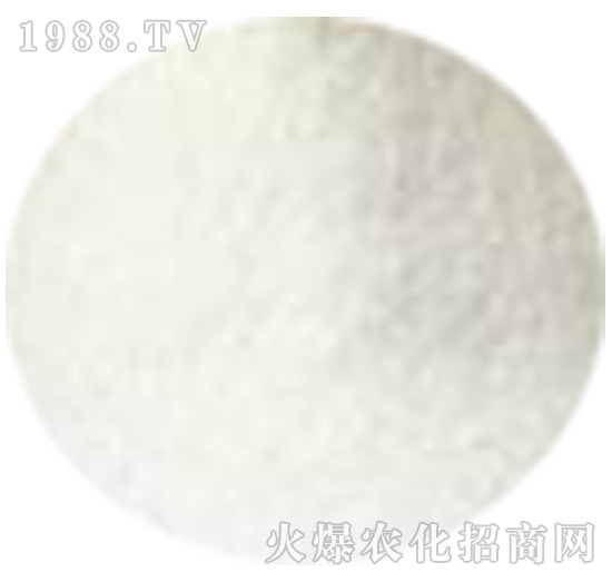 ���ᶡ���-�r(n��ng)�_����