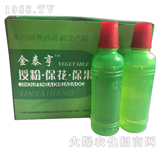 ��̩��-�ڷ۱���������