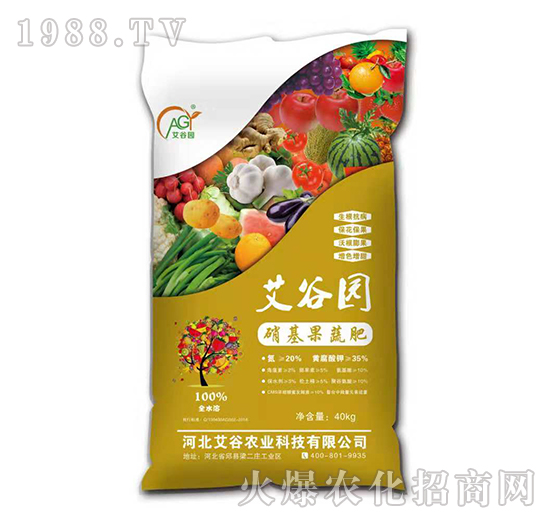 �������߷�-���Ȉ@-�����r�I(y��)