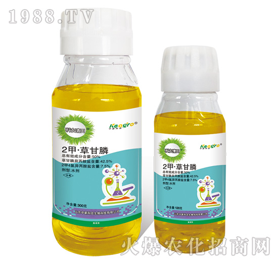 50%2�ס��ݸ��-���r(n��ng)����-���¿��r(n��ng)