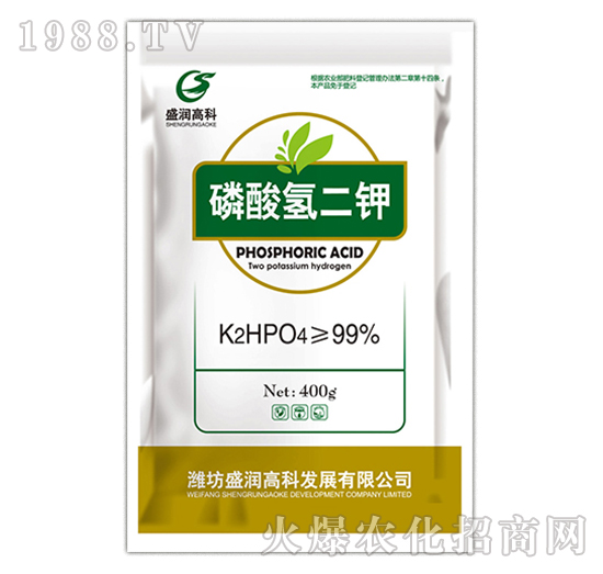 �������-ʢ���߿�