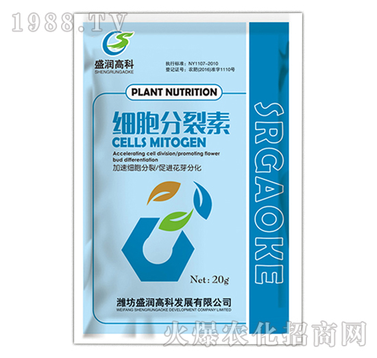 ��(x��)��������-ʢ���߿�