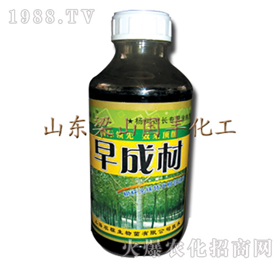 早成材-梁山國(guó)豐