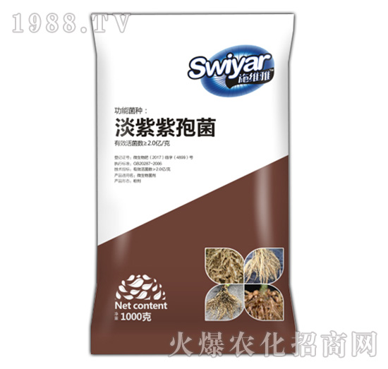 �������߾�-������