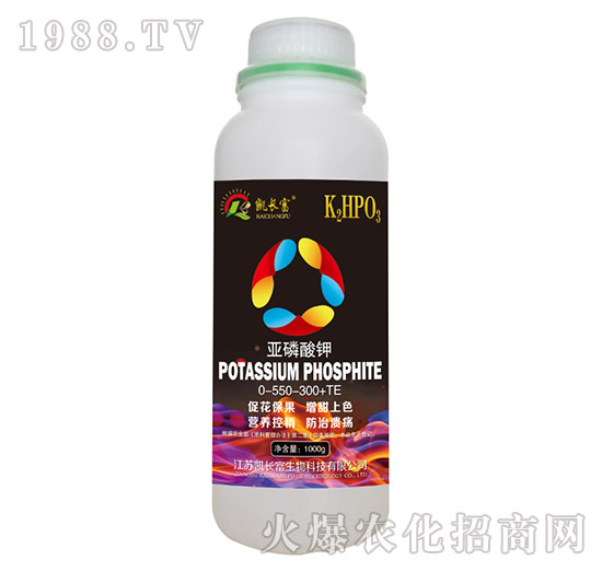 �������-�P�L(zh��ng)��