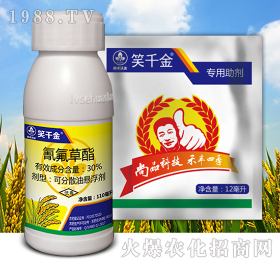 Цǧ��M��-�к����_