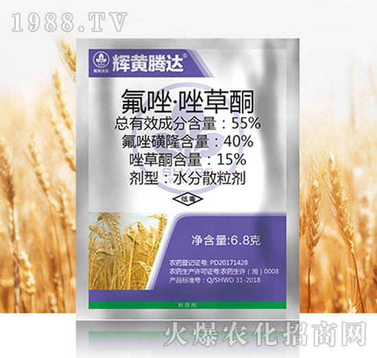 55%�������ͪ-�x�S�v�_-�к����_