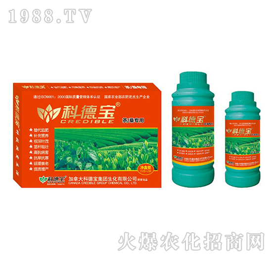 ����ɣ��(zhu��n)�àI(y��ng)�B(y��ng)���a(ch��n)�{(di��o)�턩-�Ƶ�