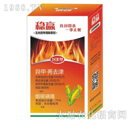 �����(zhu��n)�ó��݄�-��(w��n)�A-�����Ѻ�