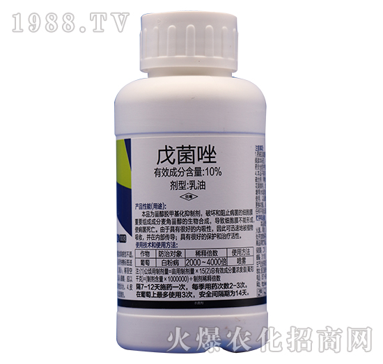 10%�����-�̩