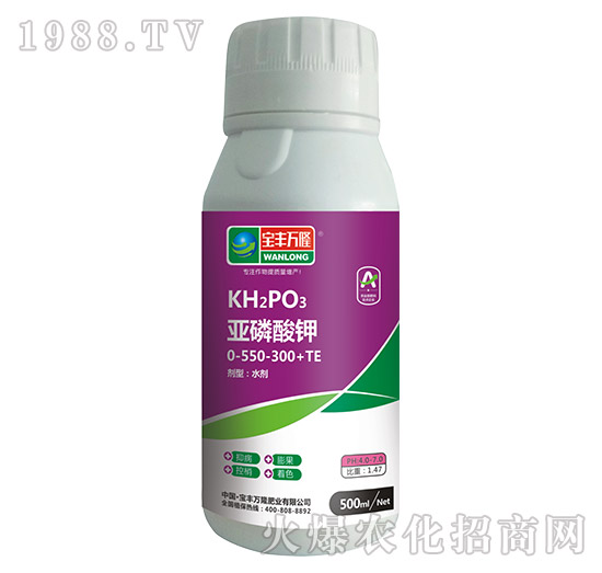 �������0-550-300+TE-���S�f¡