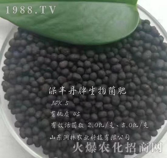 �������-���S��-��(r��n)���r(n��ng)�I(y��)