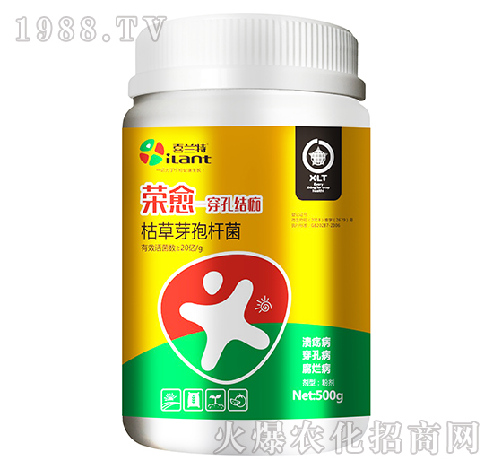 �ݲ�ѿ�ߗU��-�s��-ϲ�m��