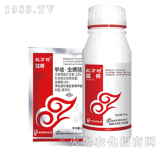 12%�׾S���x����-�͌�-���˹����r��