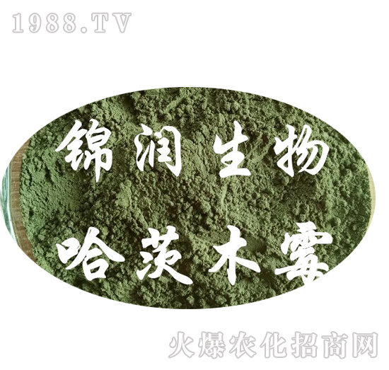 ����ľù��-�\������