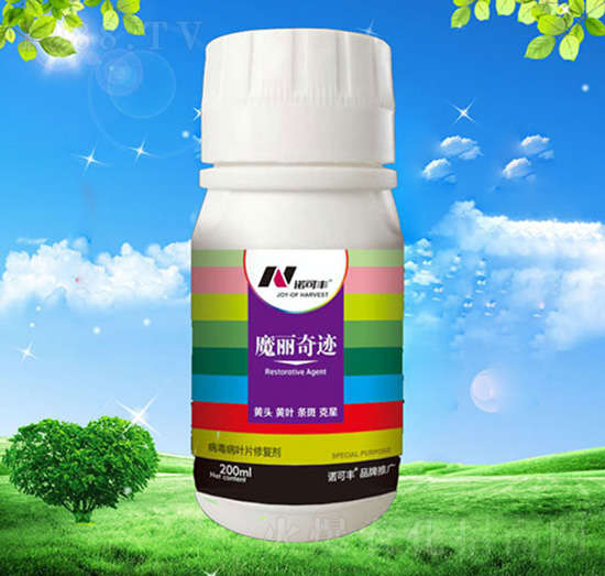 ħ�����E-�Z���S