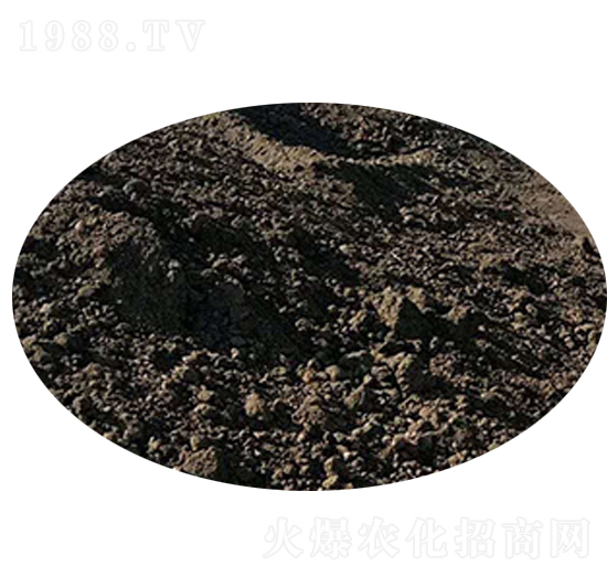 ľ��������-��������