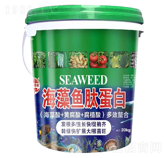 ��~�ĵ���-��@���S-���S�ʘI(y��)