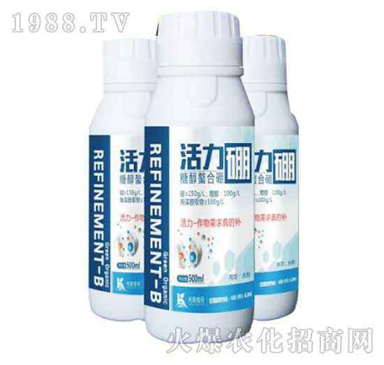 �Ǵ�������-������-����ֲ��