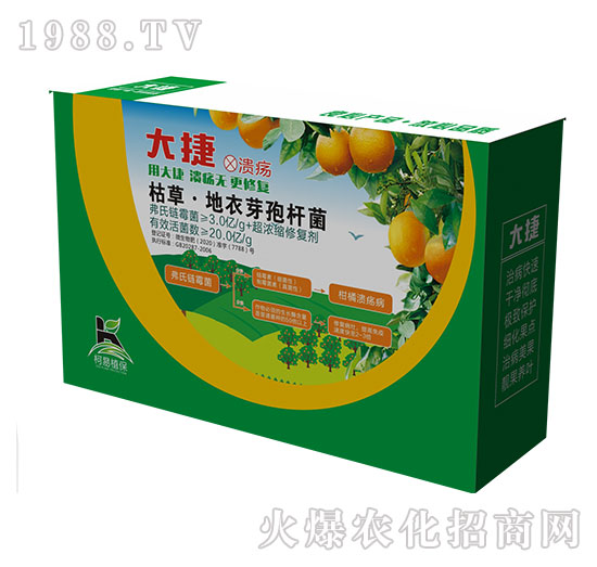 �ݲݡ�����ѿ�ߗU��-���-����ֲ��