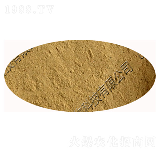 ����ѿ�ߗU��-�������