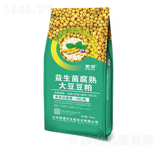 ����������󶹶���-�ό�-�Z�M�}