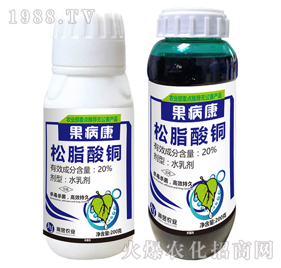 20%��֬���~-������-���