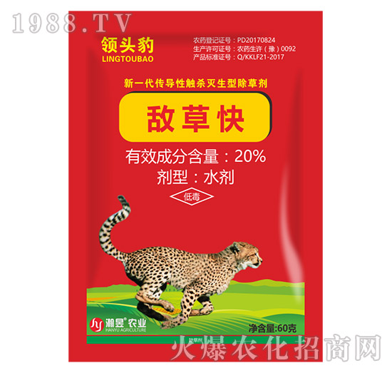 20%���ݿ�-�I(l��ng)�^��60��-���