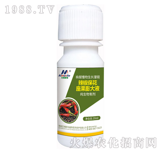 �������Ƅ�-���������������Һ-��ķ˹��