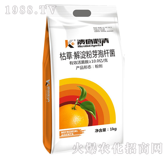 �ݲݡ������ѿ�ߗU��-��������-�T�_(d��)