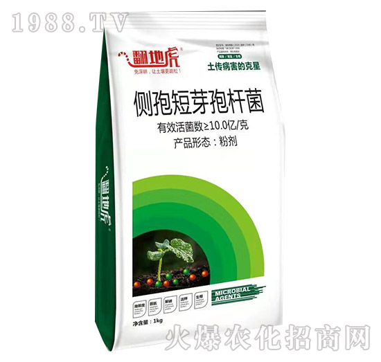 ��(c��)�߶�ѿ�ߗU����1kg��-���ػ�-�T�_(d��)