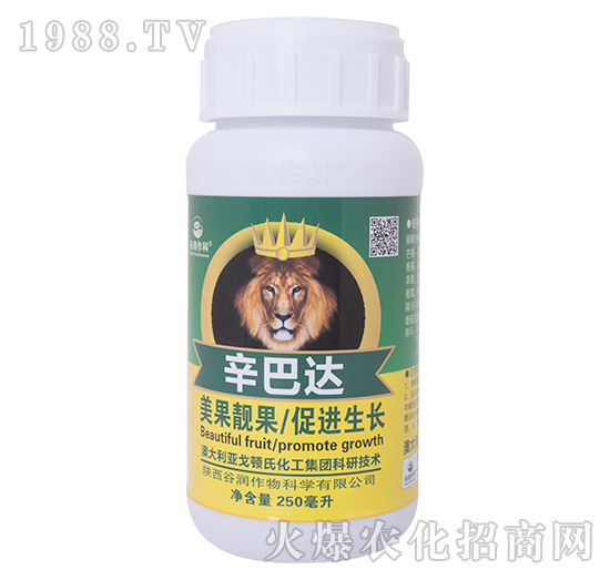 �����_-�ȝ�����