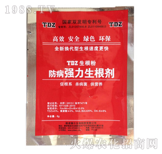 ������(qi��ng)��������-� �����