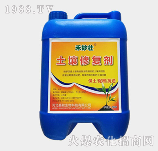 �����ޏ̈́�-�����-�W��ֲ��