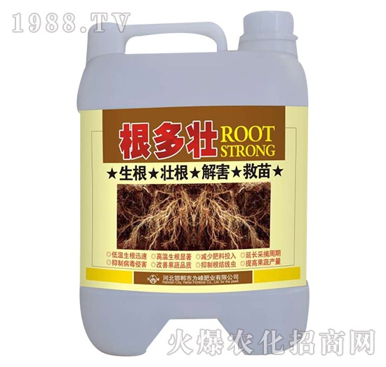 ������-���