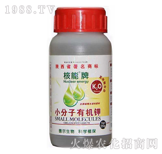 ������С�����ЙC(j��)�-��?t��ng)����? style=