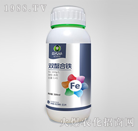 �p�����F-�����