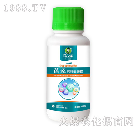 �}�F���\�V-����-�����