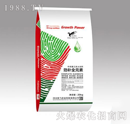 ���aȫԪ��-���w�r(n��ng)�I(y��)