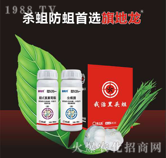 10%현�(sh��)�������+240��ÿ���x����-�����-��֮��