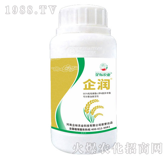 66%���׻�¡��2��4�Ȯ�����-��-���