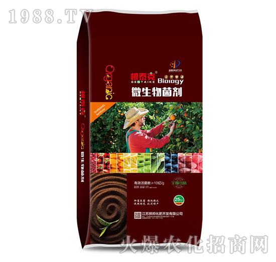 ΢�������-��̩��-���r(n��ng)�ʘI(y��)