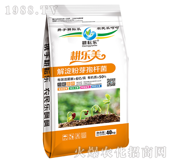 �����ѿ�ߗU��-����(l��)��-���Ř�(l��)