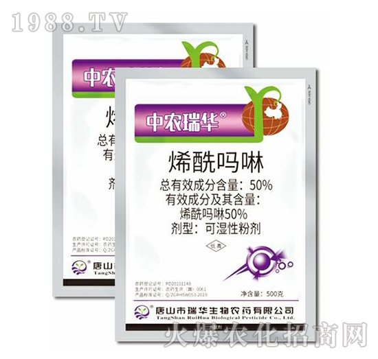 50%ϩ������-���A����