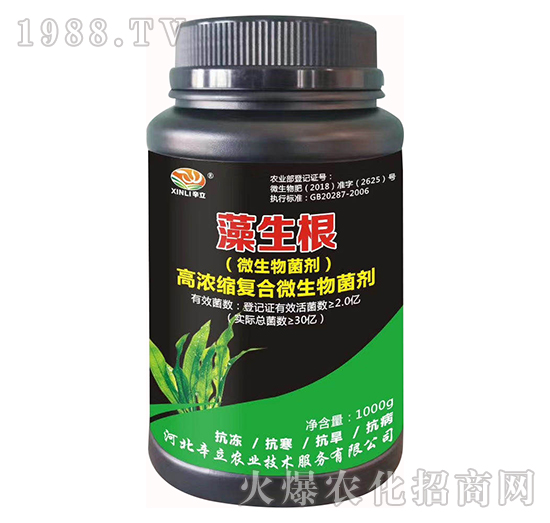 �ߝ�s�ͺ�΢�������-������-�����r(n��ng)�I(y��)