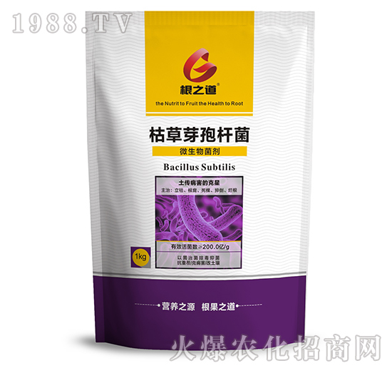 ΢�������-�ݲ�ѿ�ߗU��-��֮��