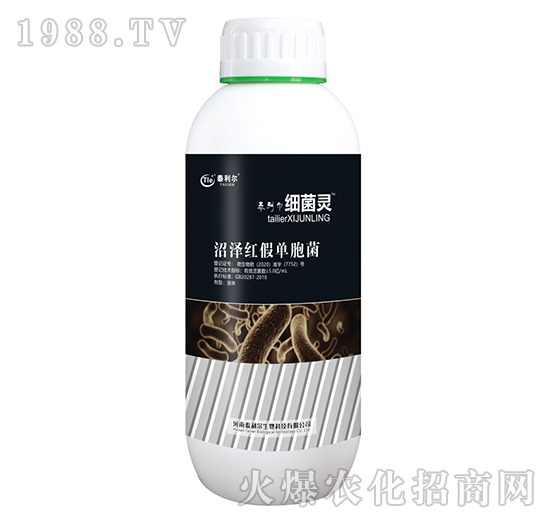 �ӝɼt�نΰ���-��(x��)���`-̩����