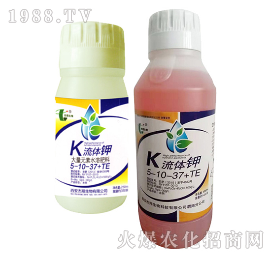 ���w�5-10-37+TE-��������