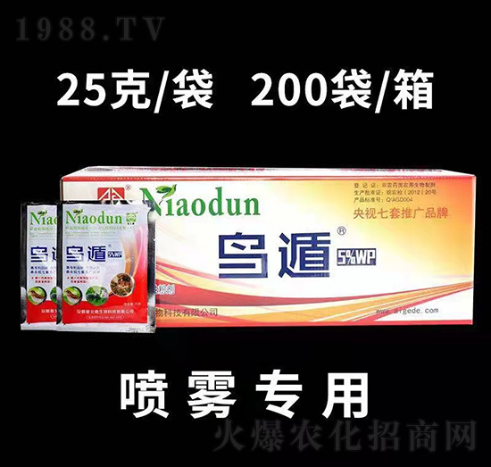 �B�����b�����F���ã�-�۸������