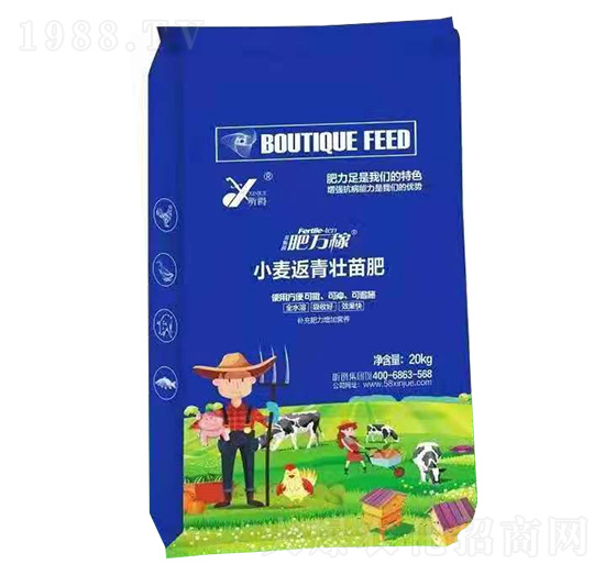 С�����������-���f(w��n)��-꿾�